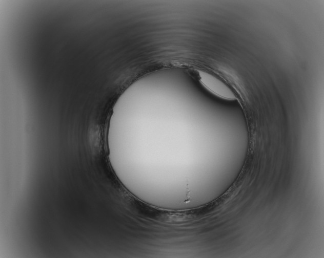 X0000093480121200710121001