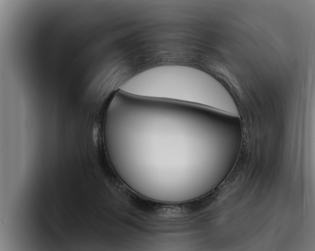 X0000093480123200710121001