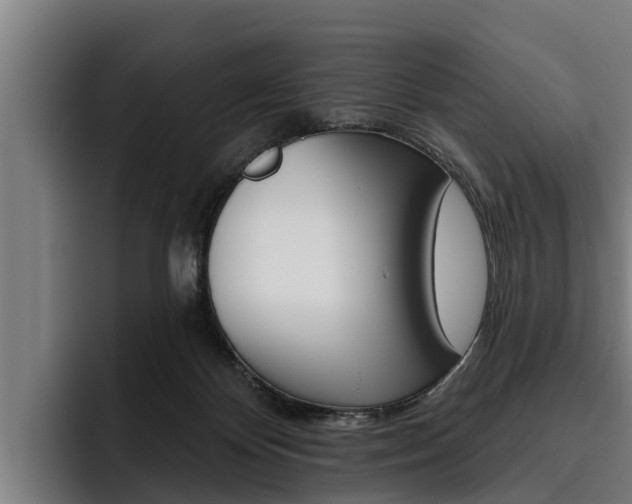 X0000093480124200710121001