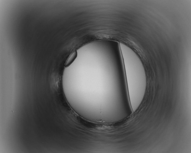 X0000093480125200710121001
