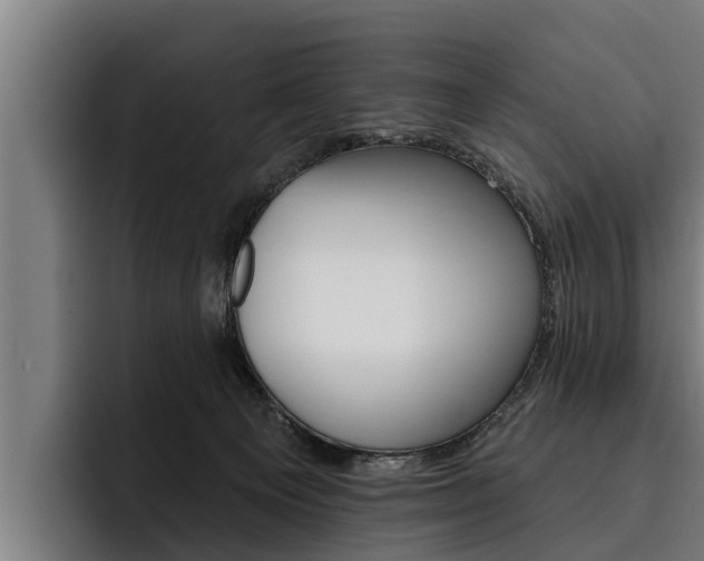 X0000093480129200710121001