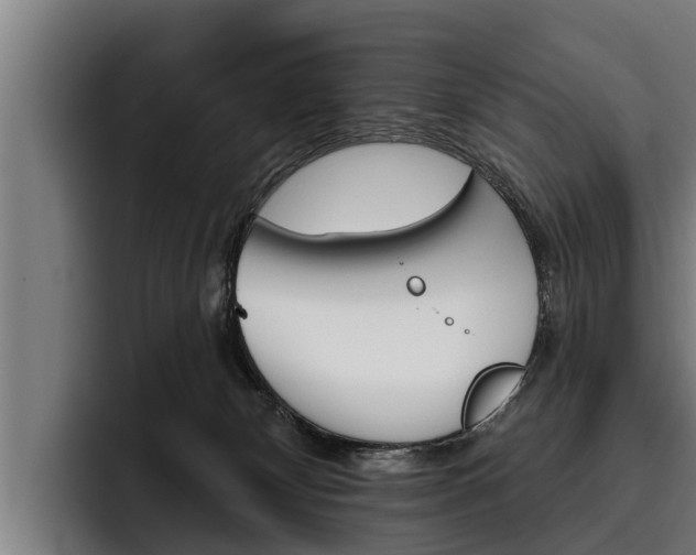 X0000093480132200710121001