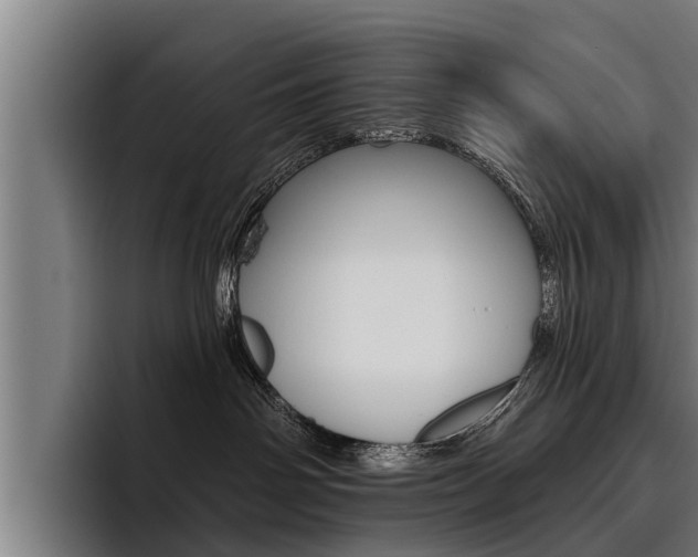 X0000093480142200710121001