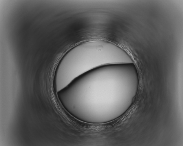 X0000093480145200710121001