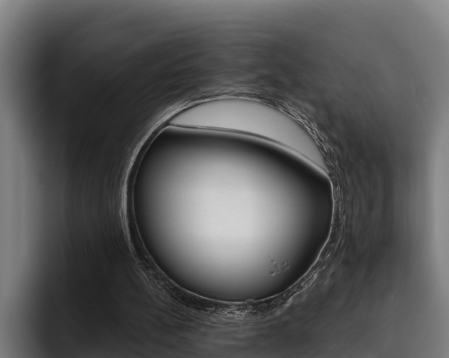 X0000093480148200710121001