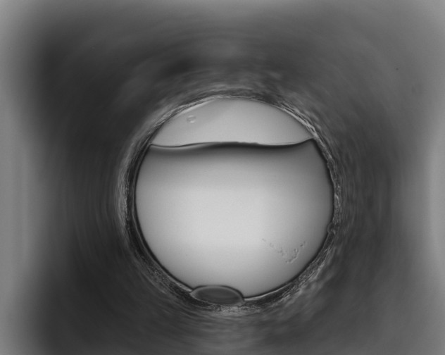 X0000093480149200710121001