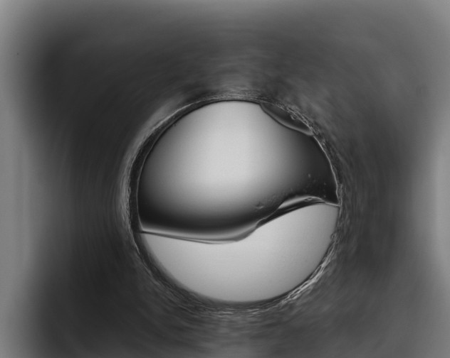 X0000093480150200710121001
