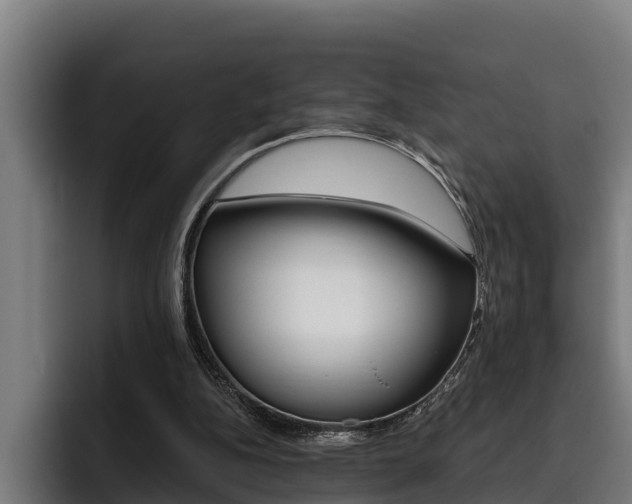 X0000093480152200710121001