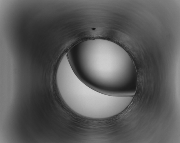 X0000093480164200710121001