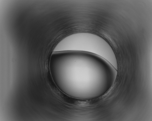 X0000093480170200710121001