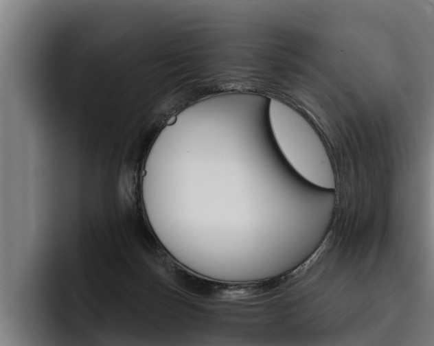 X0000093480171200710121001