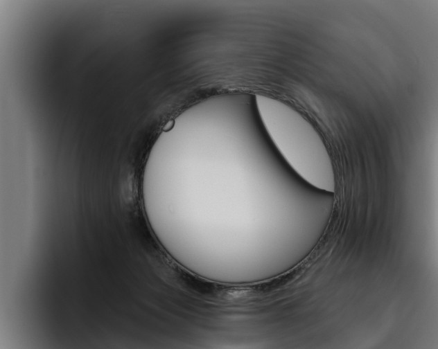 X0000093480173200710121001