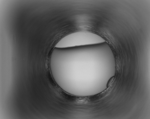 X0000093480175200710121001