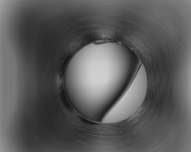 X0000093480176200710121001