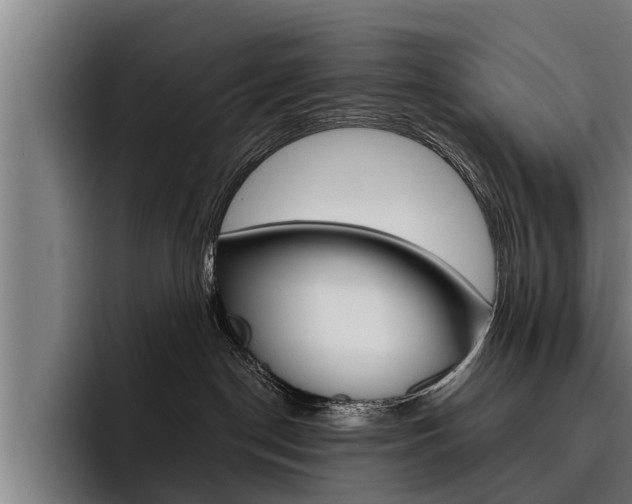 X0000093480190200710121001