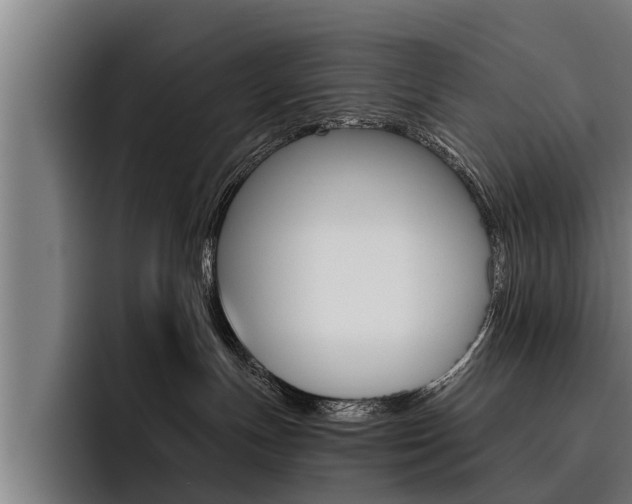 X0000093480191200710121001