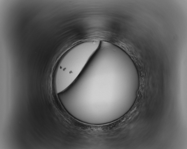 X0000093480194200710121001