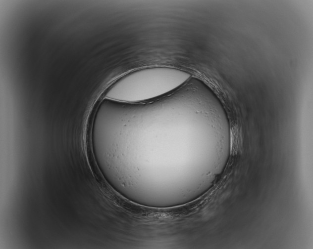 X0000093480195200710121001