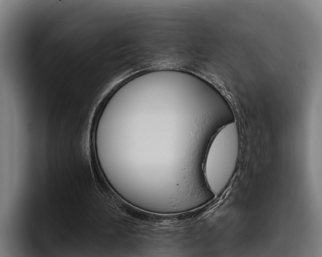 X0000093480196200710121000