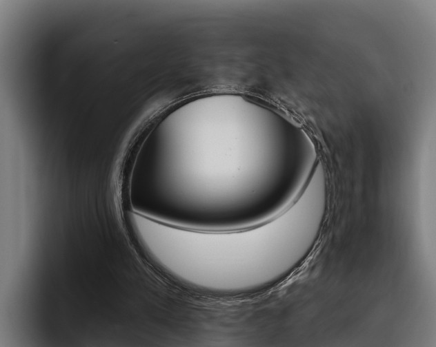 X0000093480197200710121000