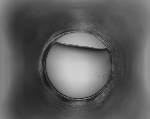 X0000093480198200710121000