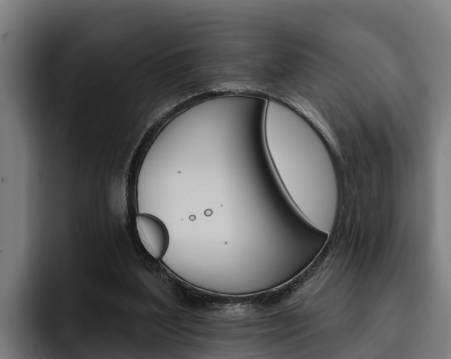 X0000093480204200710121000