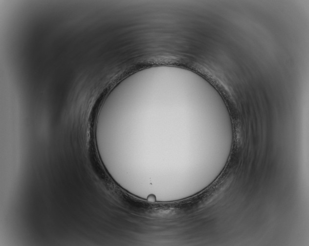 X0000093480206200710121000