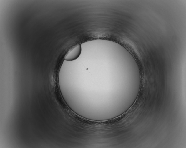 X0000093480210200710121000