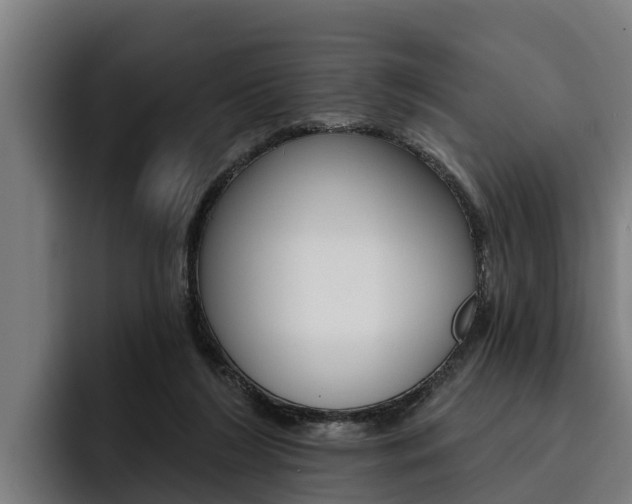 X0000093480212200710121000