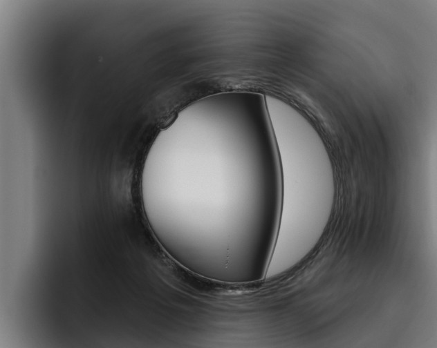 X0000093480217200710121000