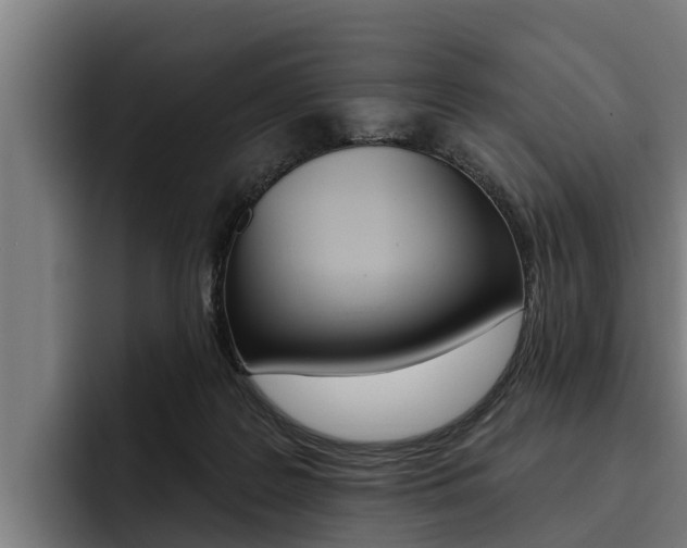 X0000093480219200710121000