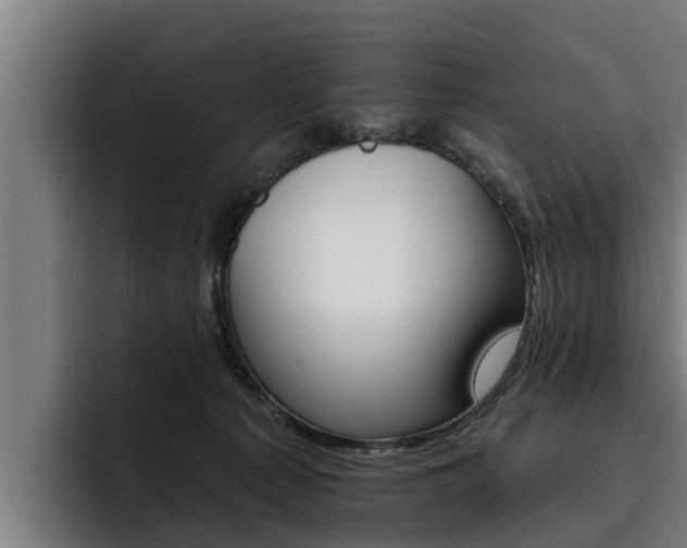 X0000093480225200710121000