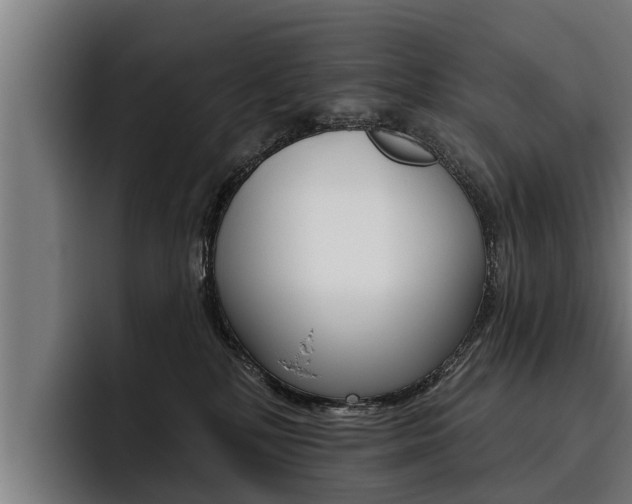 X0000093480232200710121000