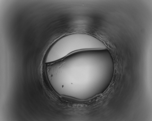 X0000093480242200710120959
