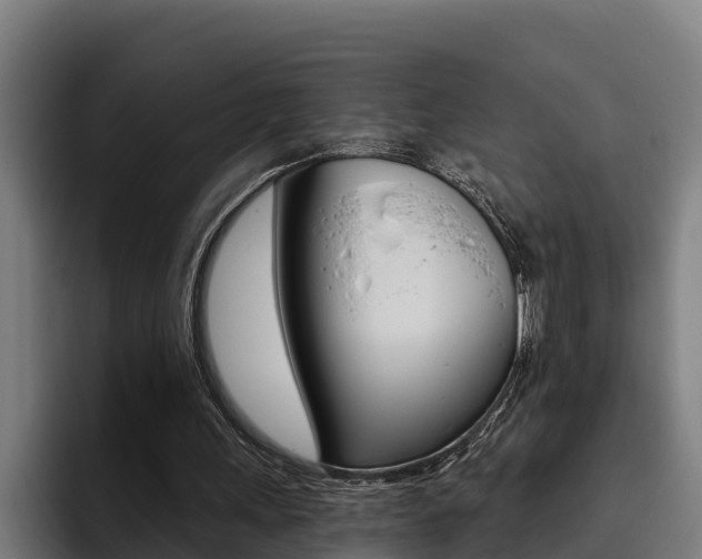 X0000093480243200710120959
