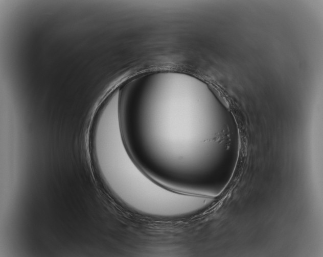 X0000093480244200710120959