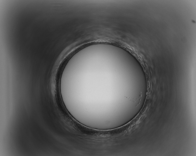 X0000093480247200710120959
