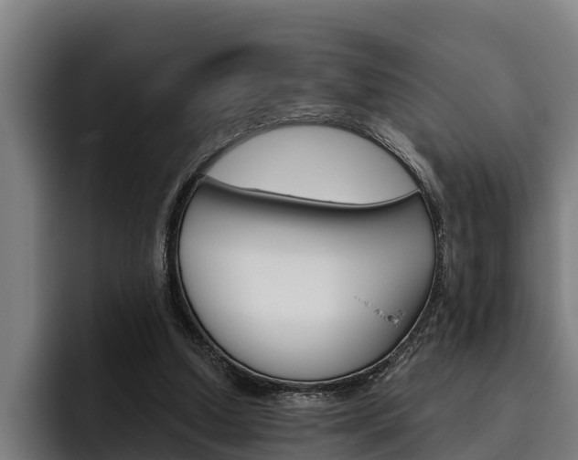 X0000093480250200710121000