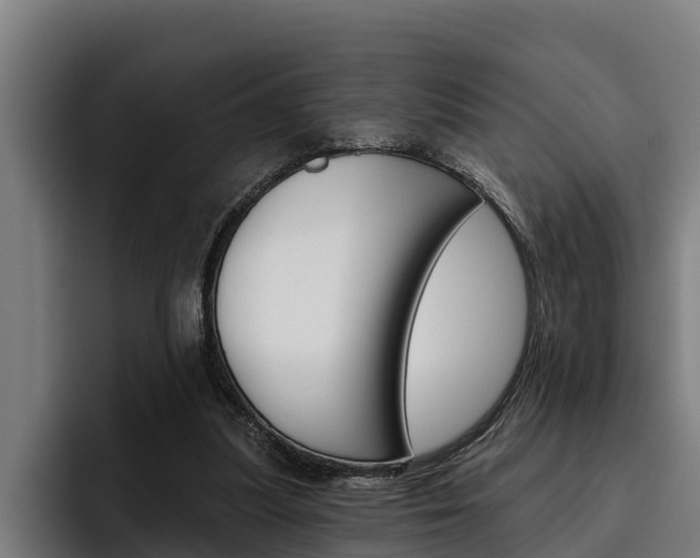 X0000093480251200710121000