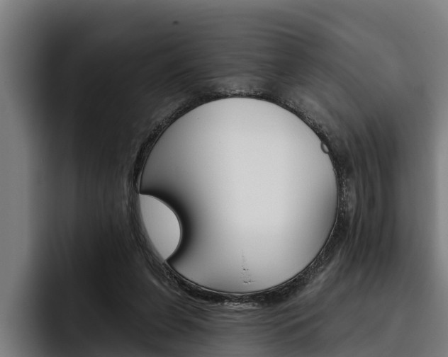 X0000093480255200710121000