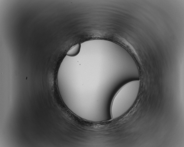 X0000093480257200710121000