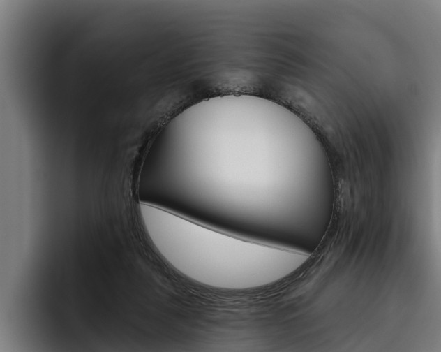 X0000093480259200710121000
