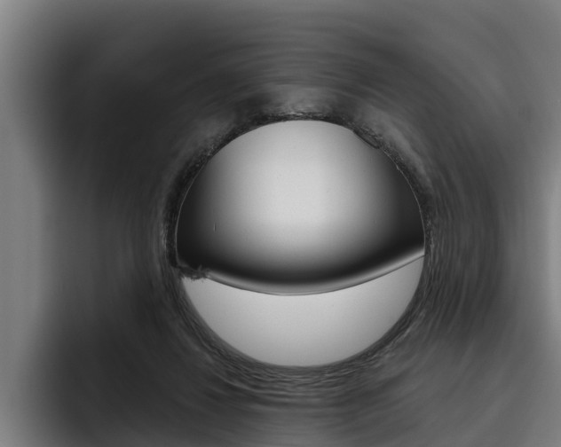 X0000093480260200710121000