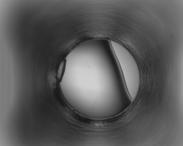 X0000093480264200710121000