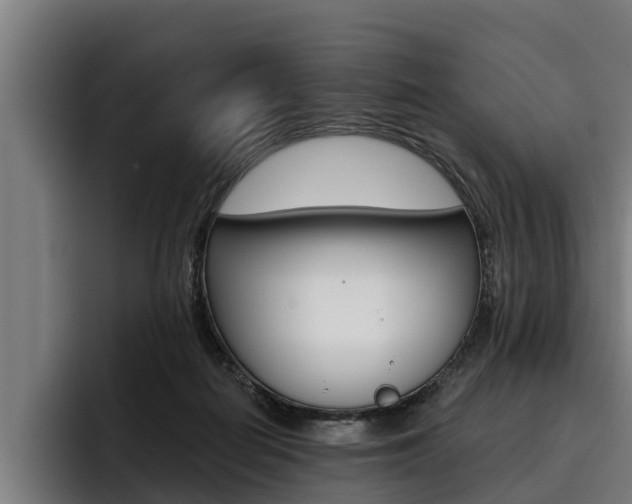 X0000093480266200710121000