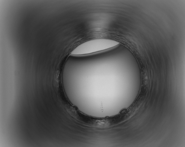 X0000093480275200710121000