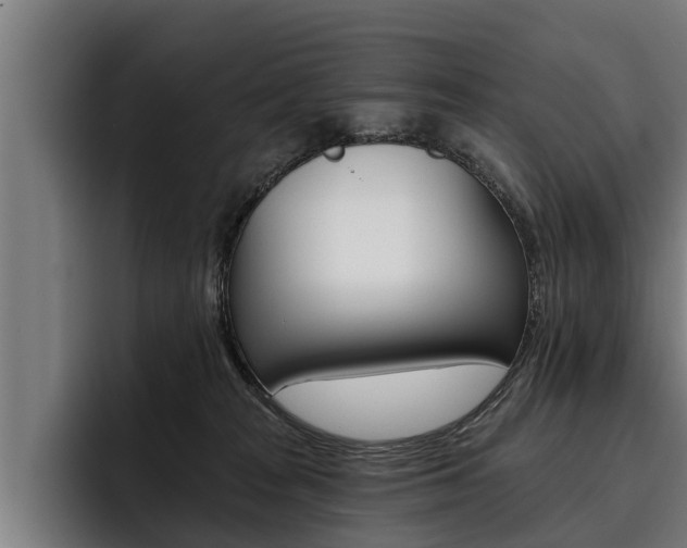 X0000093480277200710121000