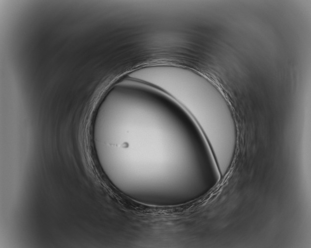X0000093480289200710120959