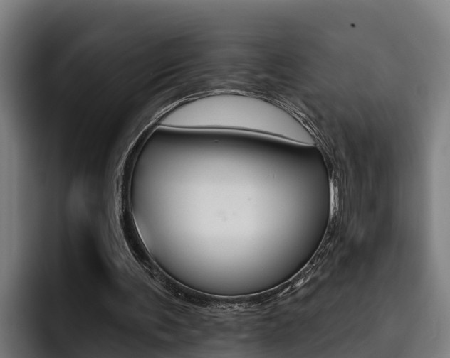 X0000093480291200710120959