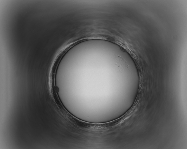 X0000093480294200710120959
